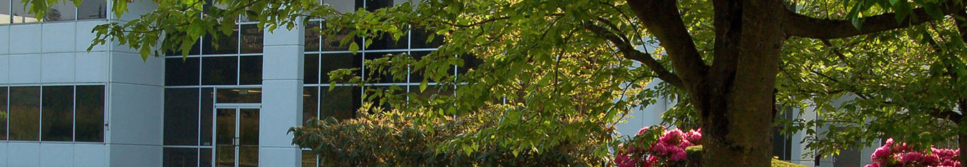 vulcan offices outside view