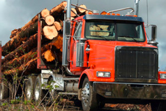 Timber Truck